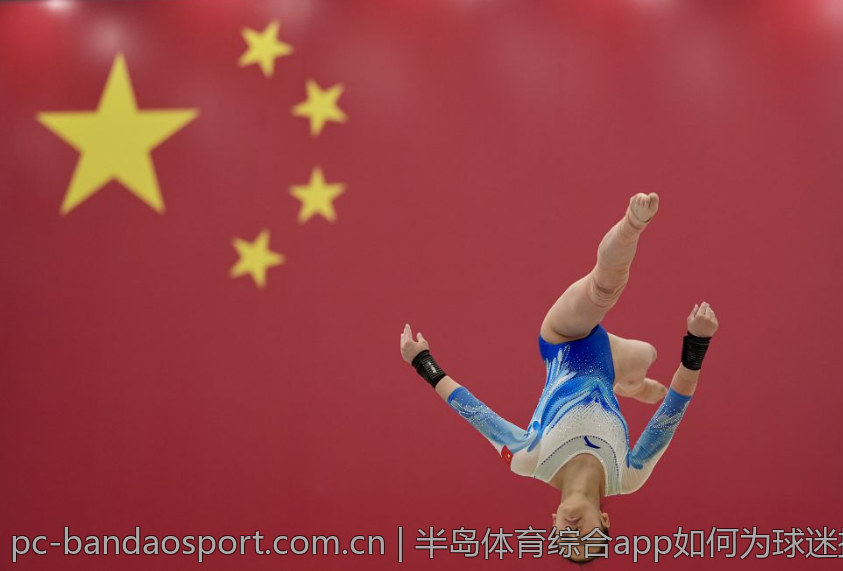 半岛体育综合app如何为球迷提供最佳服务