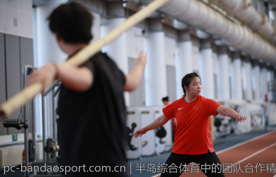 半岛综合体育中的团队合作精神与价值