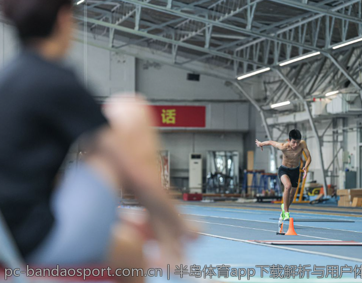 半岛体育app下载解析与用户体验
